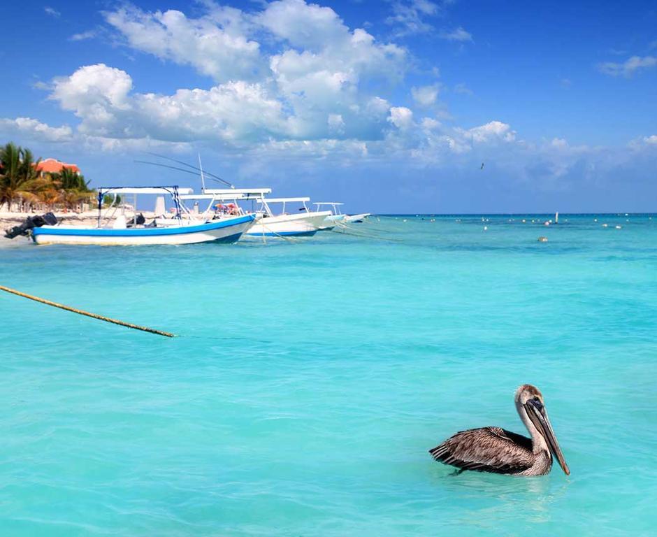 Modern Apartment Riviera Maya Puerto Morelos Buitenkant foto